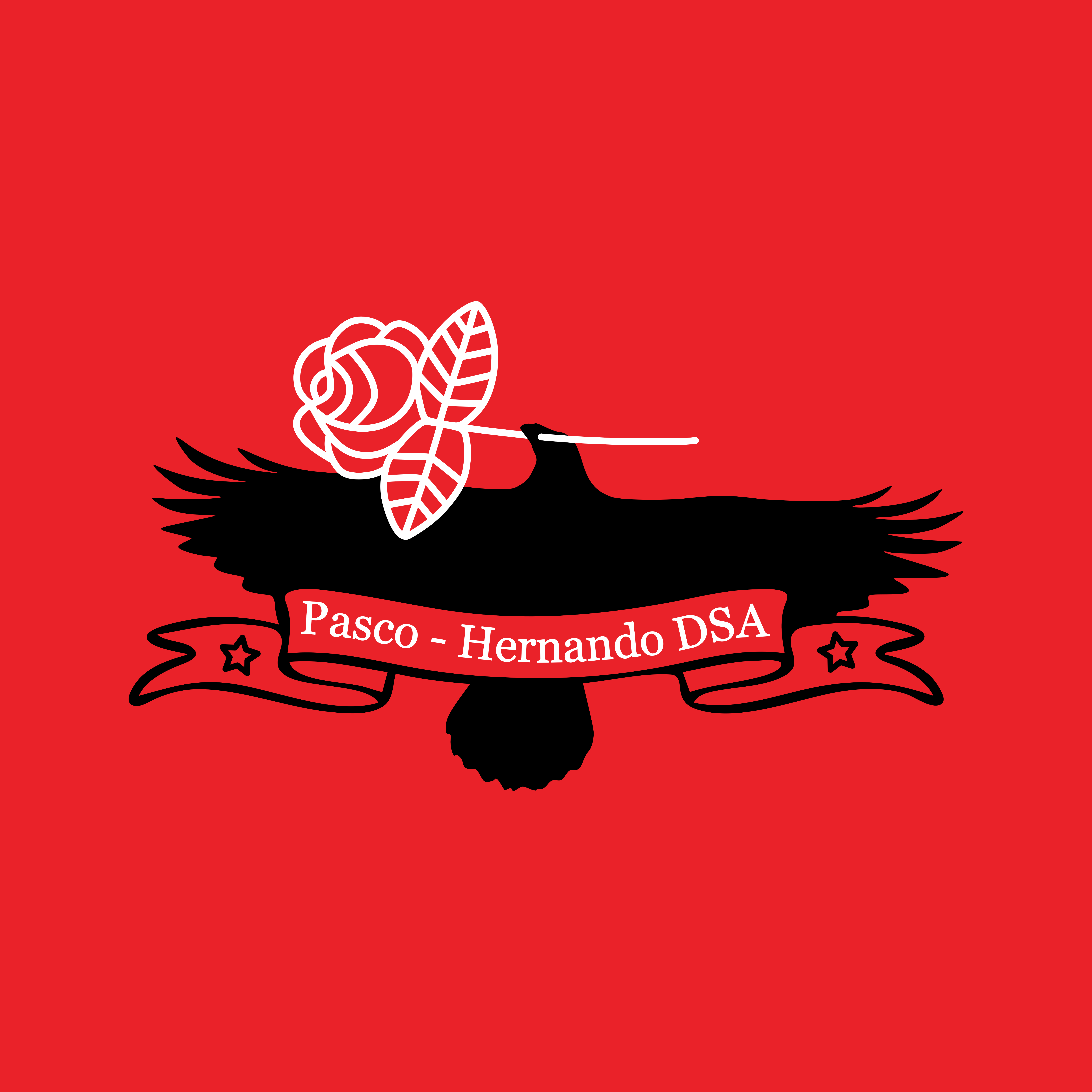 Pasco-Hernando DSA logo
